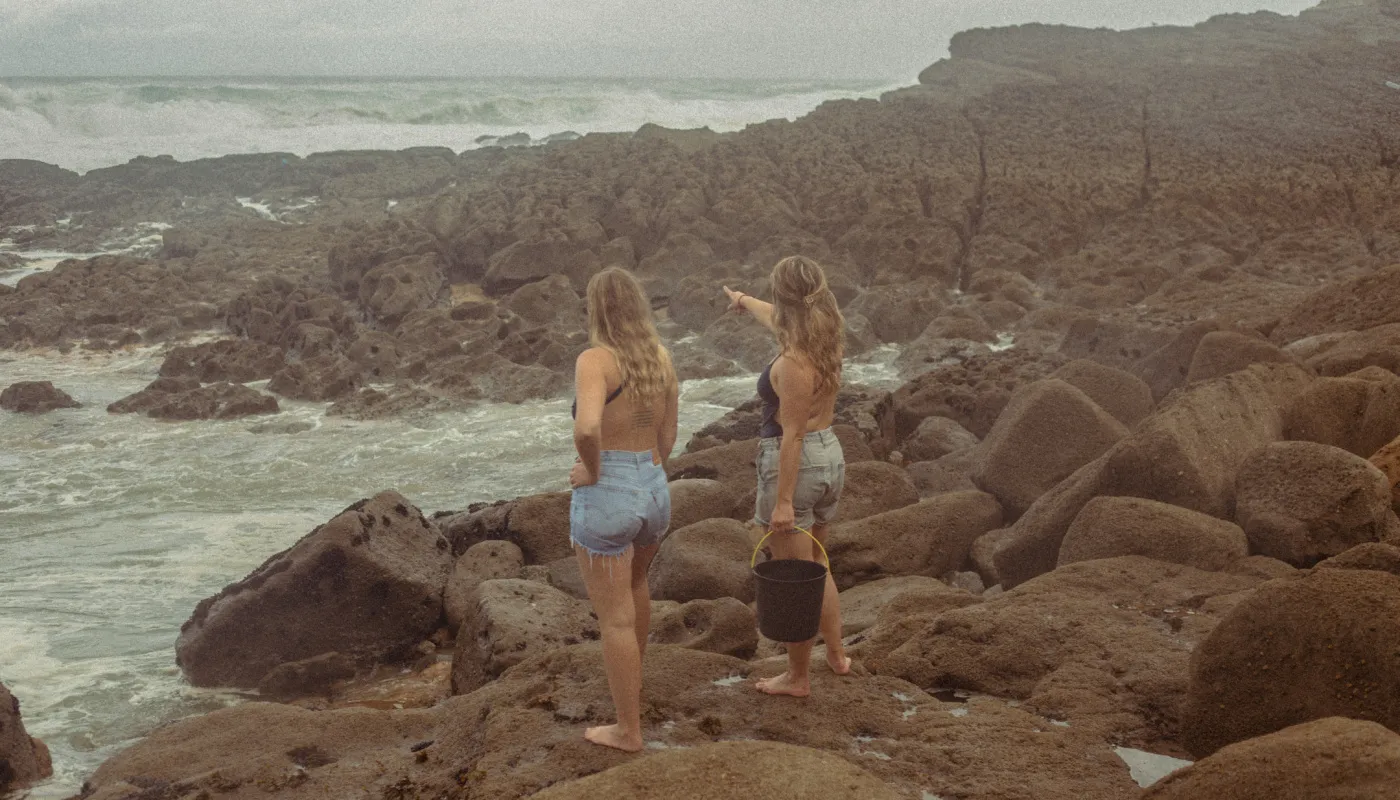 Seaweed Sisters, ondernemersverhaal van Dockwize